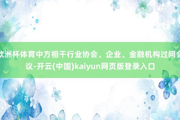 欧洲杯体育中方相干行业协会、企业、金融机构过问会议-开云(中国)kaiyun网页版登录入口